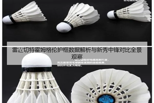 雷霆切特霍姆格伦护框数据解析与新秀中锋对比全景观察